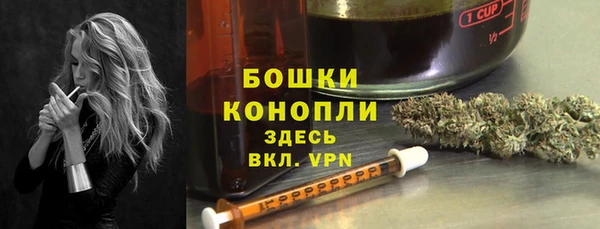 спайс Алексин