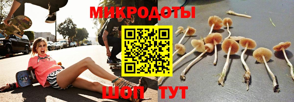 Псилоцибиновые грибы ЛСД Чебаркуль